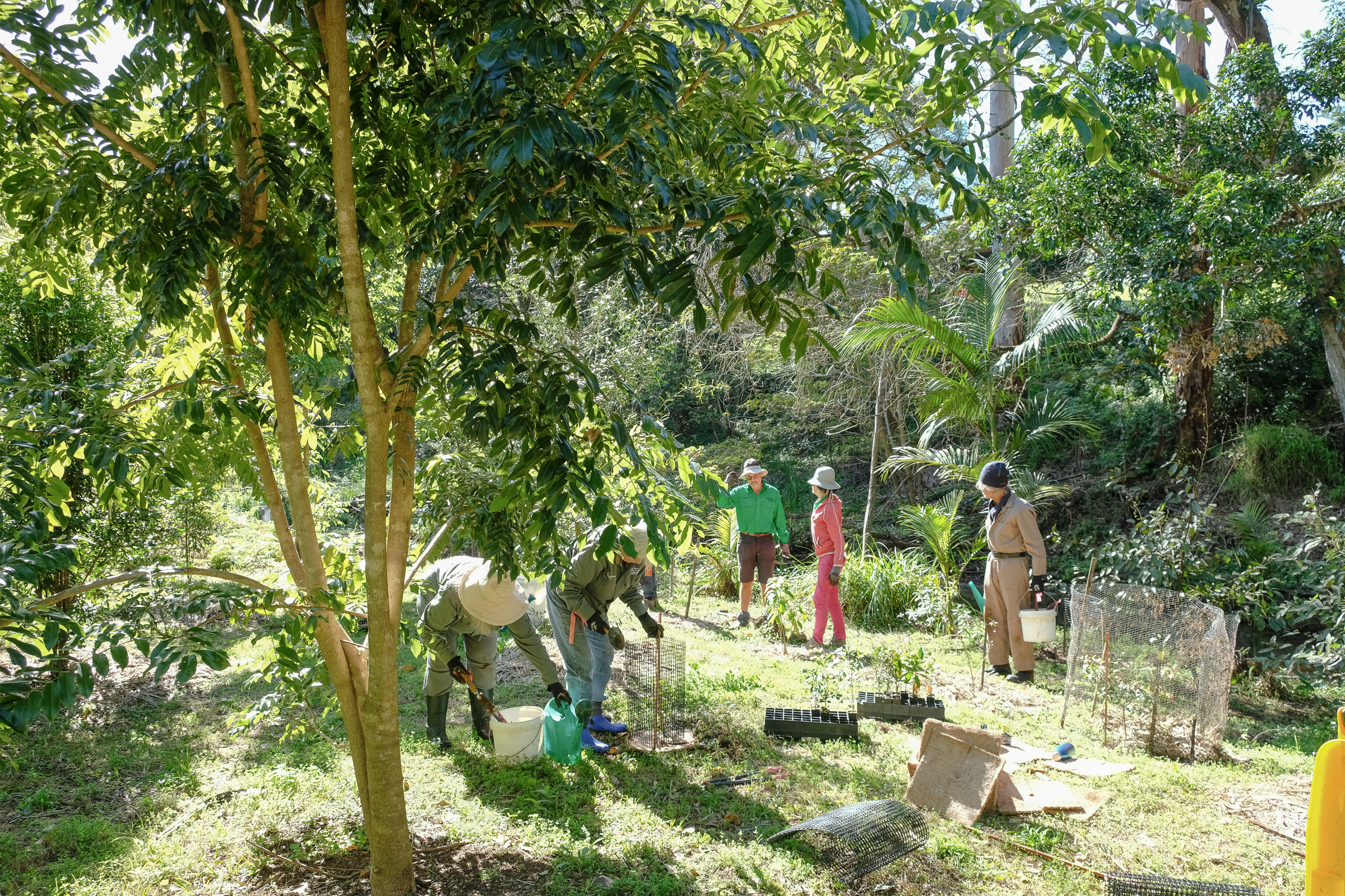 Hinterland Bush Links - Roving Restorers