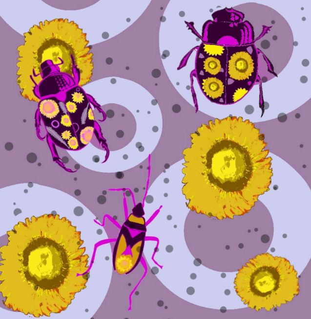Bug design Tewantin