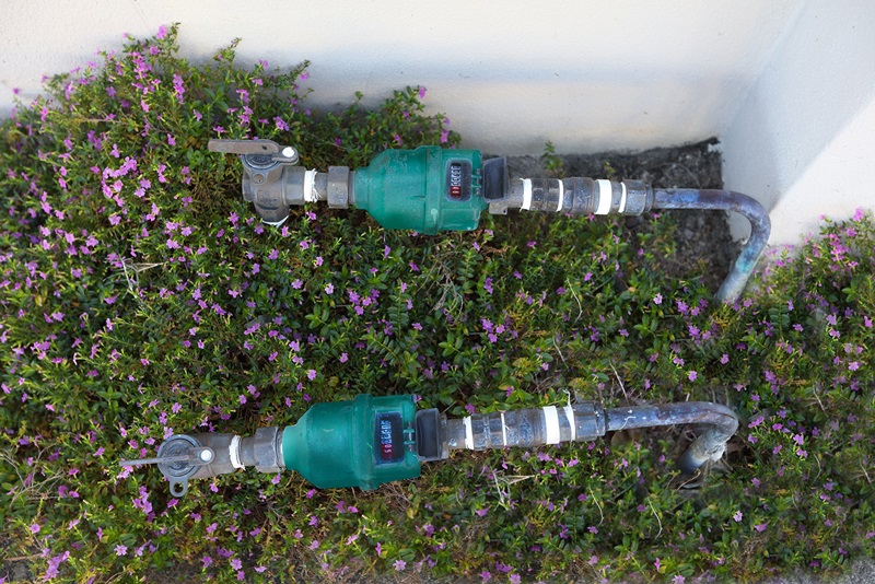 Property with two water meters - second dwelling or duplex