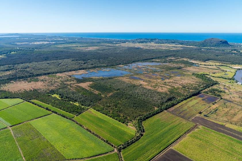 Yandina Creek Wetland aerial