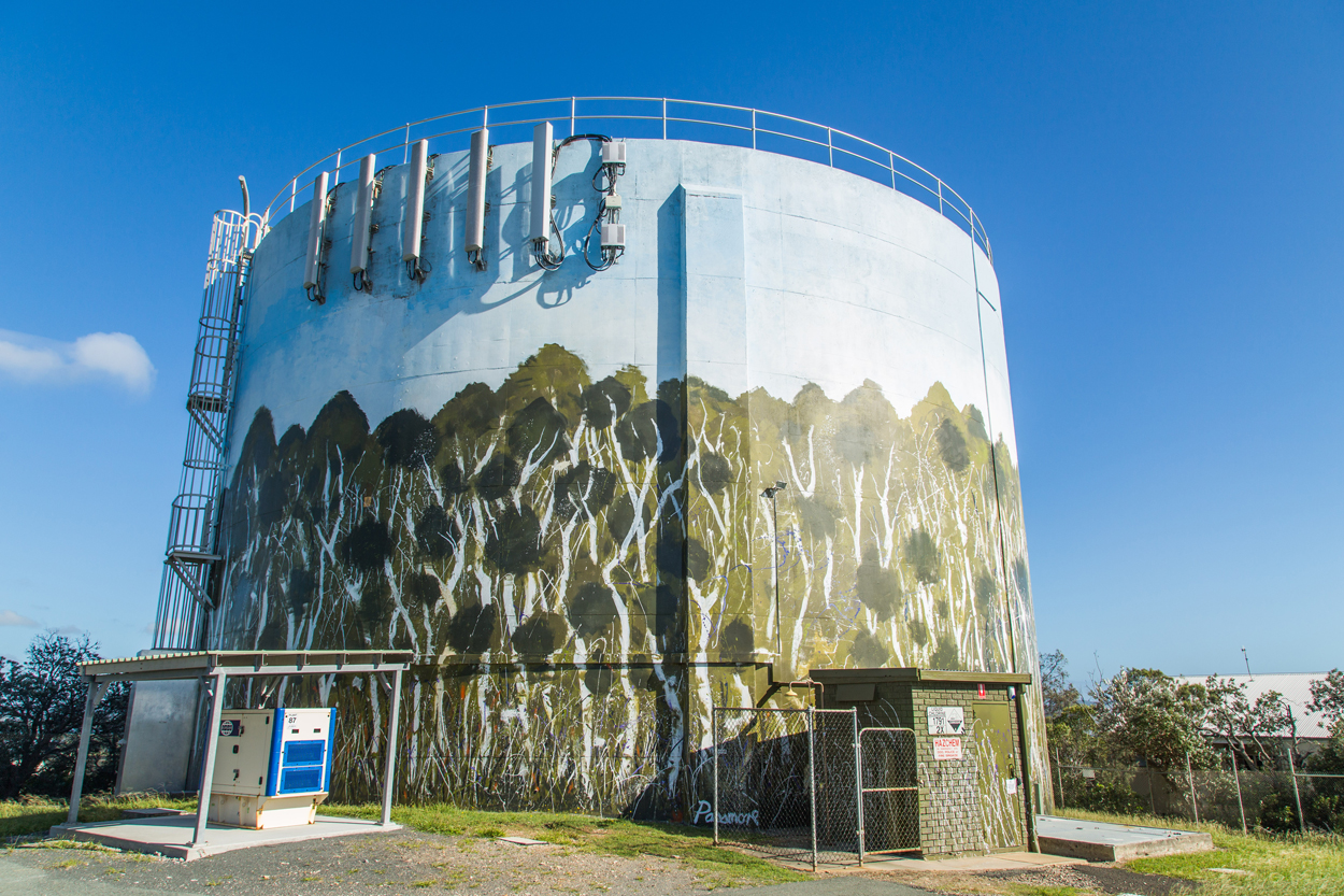 Unitywater Reservoir Mural Peregian