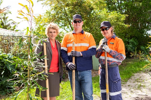 Bellflower Road - people planting trees